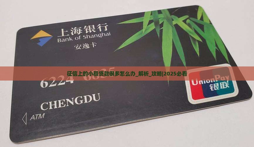征信上的小额贷款很多怎么办