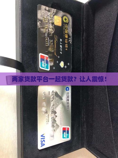 两家贷款平台一起贷款