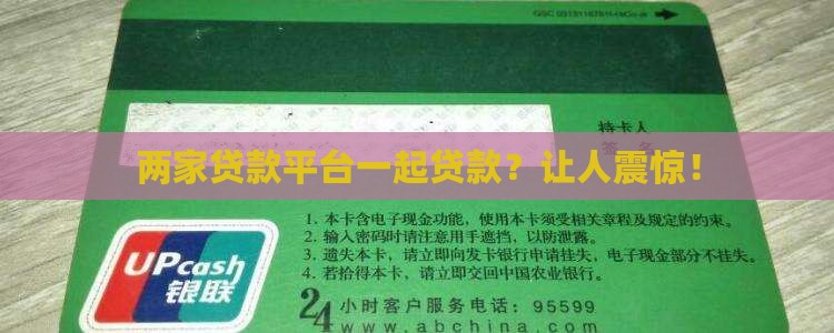 两家贷款平台一起贷款