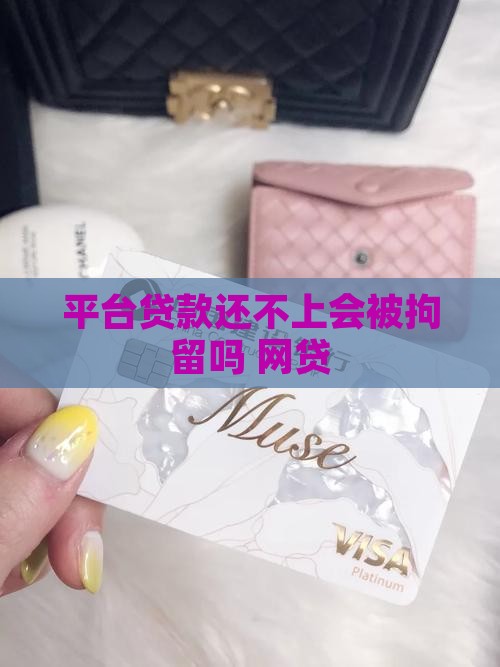 平台贷款还不上要拘留吗