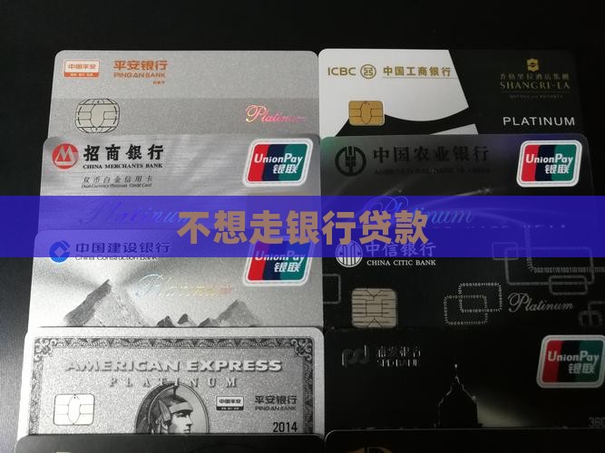 不想走银行贷款