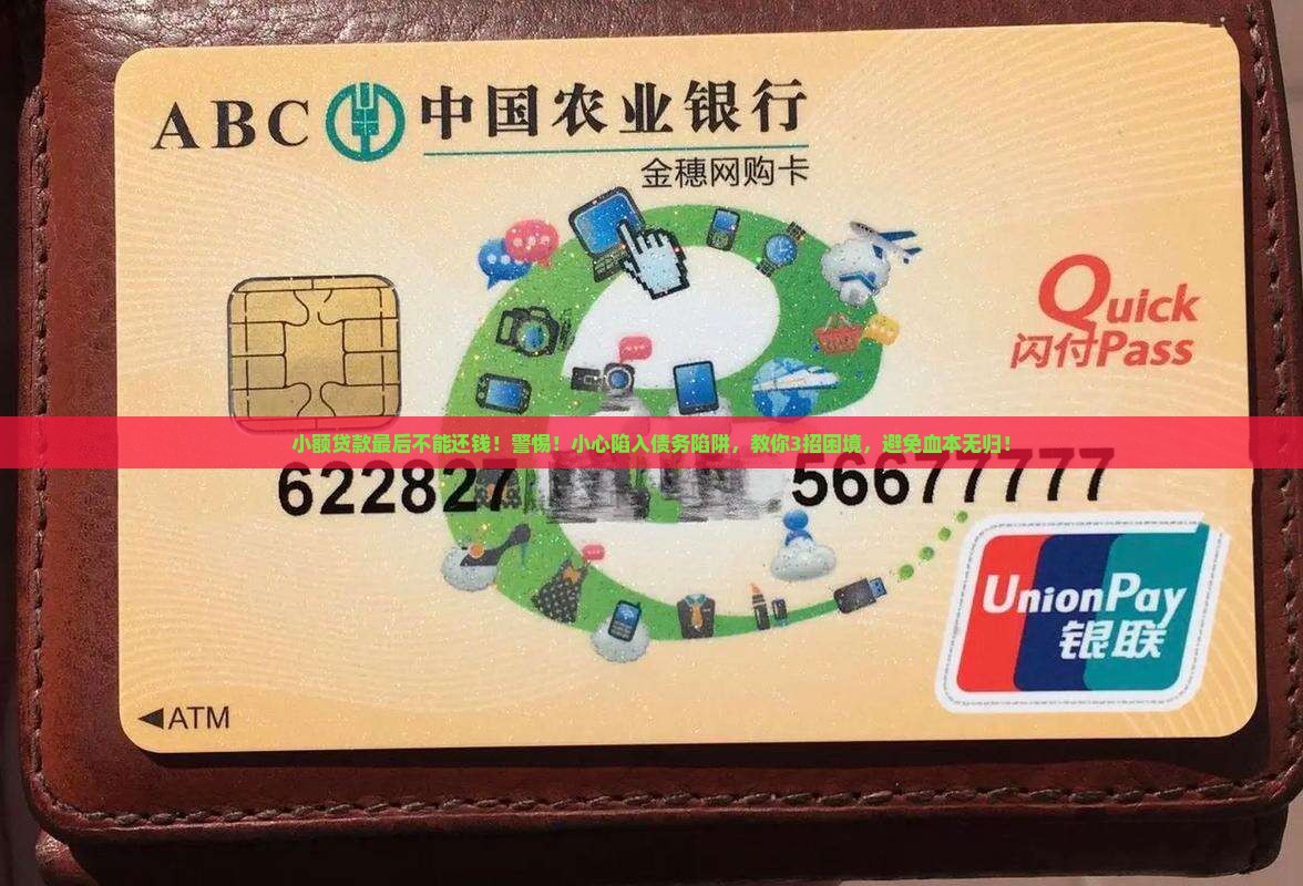 小额贷款最后不能还钱