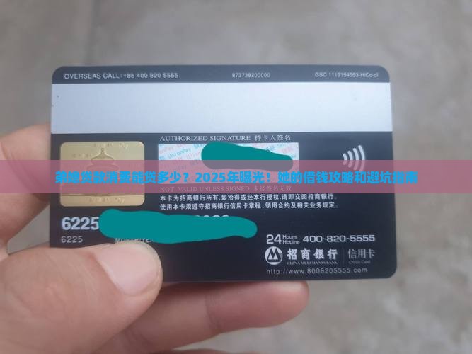 弟媳贷款消费能贷多少
