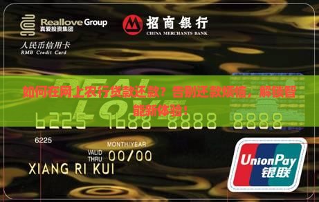 如何在网上农行贷款还款