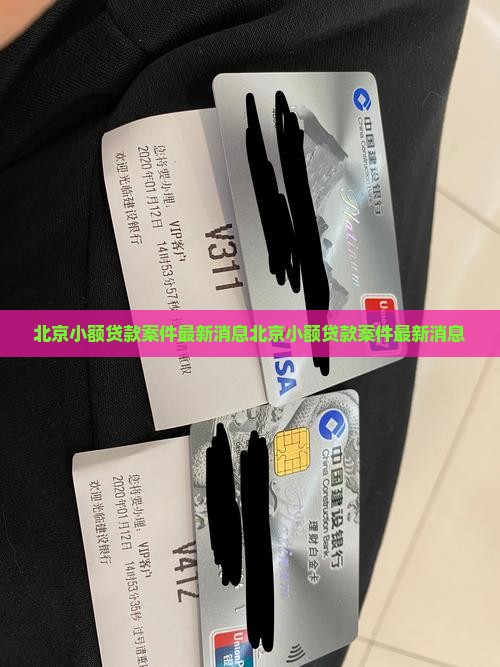 北京小额贷款案件最新消息