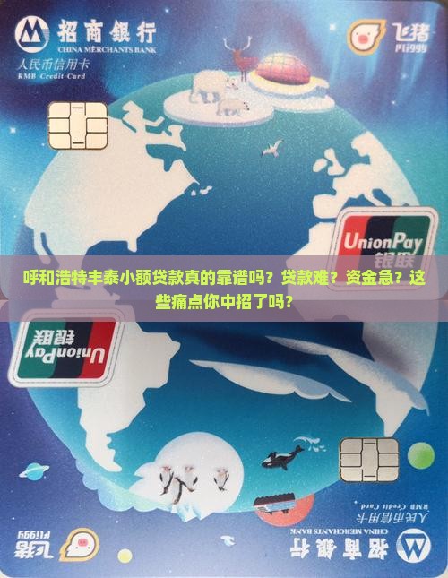 呼和浩特丰泰小额贷款
