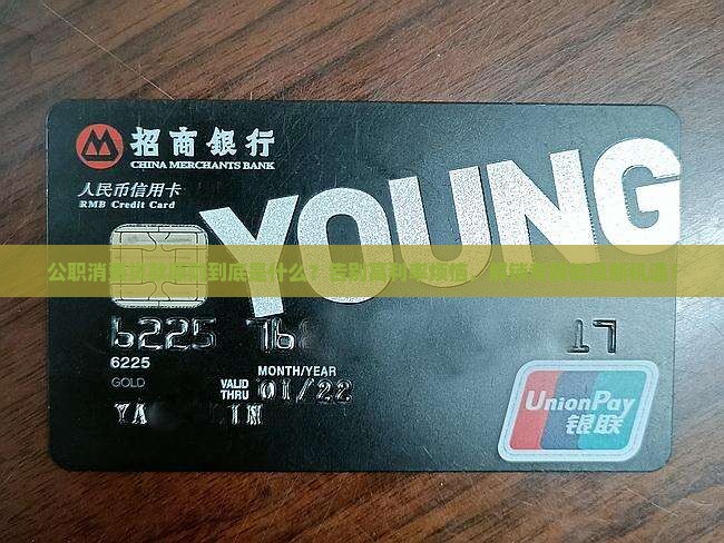 公职消费贷款原则