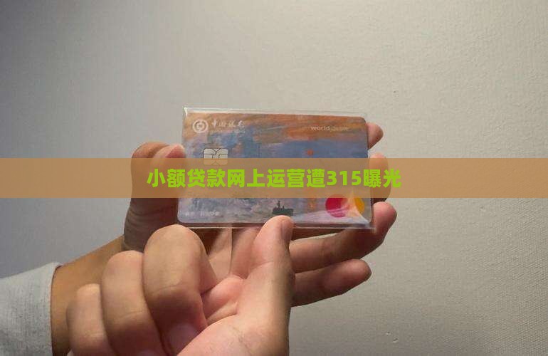网上小额贷款315曝光