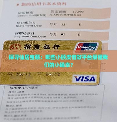 探寻仙居宝藏：哪些小额度借款平台最懂我们的小确幸？