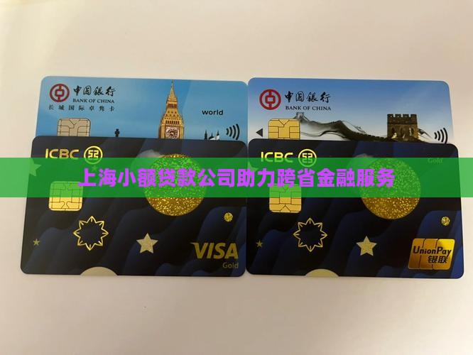 上海小额贷款公司助力跨省金融服务