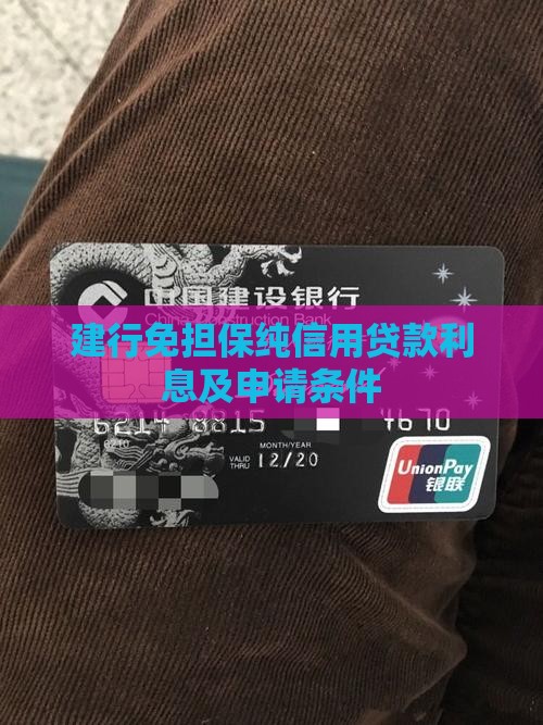 建行免担保纯信用贷款利息及申请条件