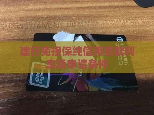 建行免担保纯信用贷款利息及申请条件