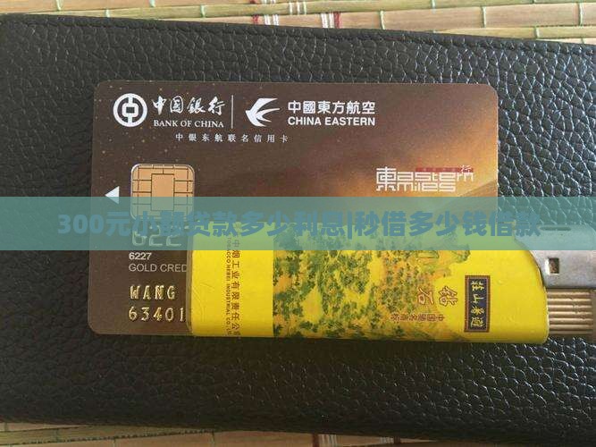 300元小额贷款多少利息|秒借多少钱借款