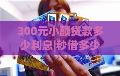 300元小额贷款多少利息|秒借多少钱借款