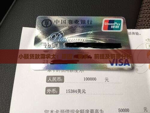 小额贷款需求大：原因、要求、前提及前景分析