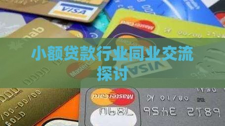 小额贷款行业同业交流探讨