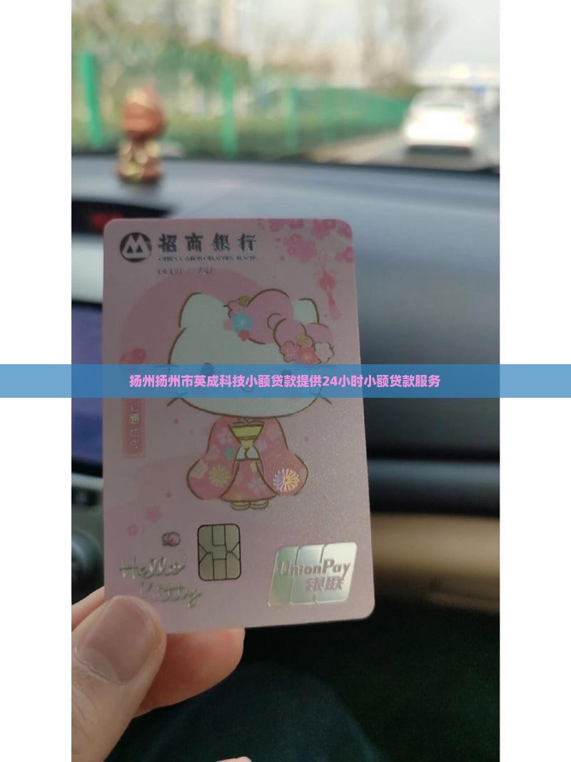 扬州扬州市英成科技小额贷款提供24小时小额贷款服务