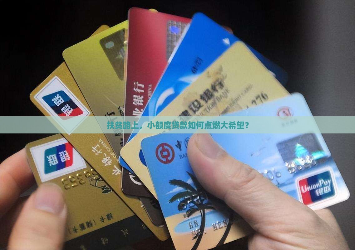 扶贫路上，小额度贷款如何点燃大希望？