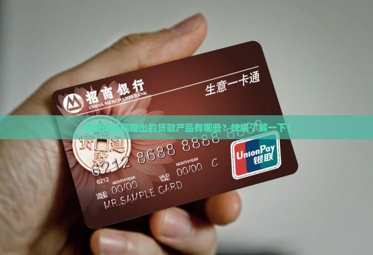 中诚信征信推出的贷款产品有哪些？快来了解一下！
