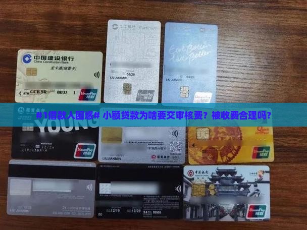 #1借款人困惑# 小额贷款为啥要交审核费？被收费合理吗？