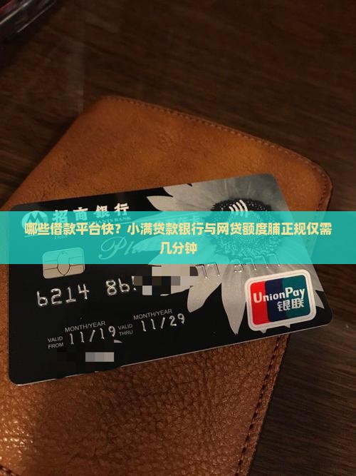 哪些借款平台快？小满贷款银行与网贷额度脯正规仅需几分钟