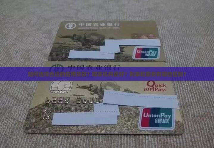 如何选择合适的信用贷款？哪家机构更好？利率和服务有哪些区别？
