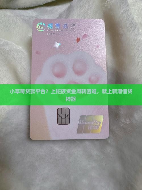 小草莓贷款平台？上班族资金周转困难，就上新潮借贷神器