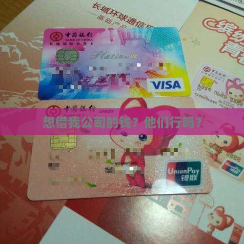 想借我公司的钱？他们行吗？