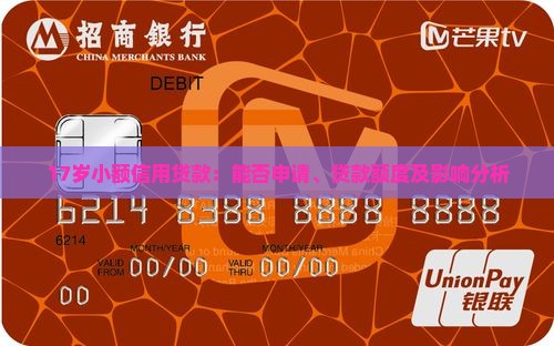 17岁小额信用贷款：能否申请、贷款额度及影响分析