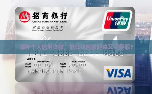 哪种个人信用贷款，能让钱包鼓起来又不受罪？
