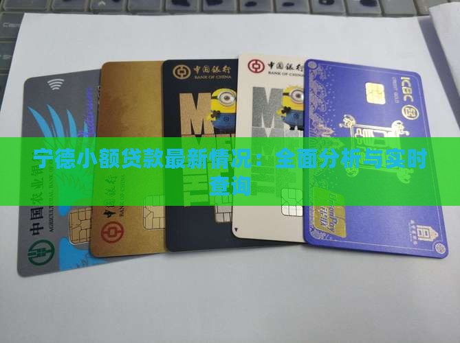 宁德小额贷款最新情况：全面分析与实时查询