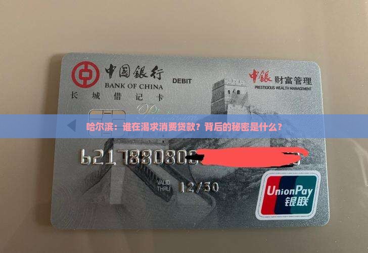 哈尔滨：谁在渴求消费贷款？背后的秘密是什么？
