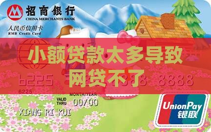 小额贷款太多导致网贷不了