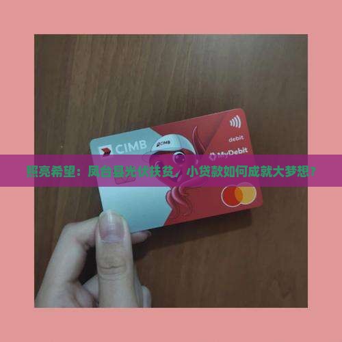 照亮希望：凤台县光伏扶贫，小贷款如何成就大梦想？