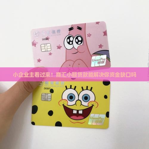 小企业主看过来！商汇小额贷款能解决你资金缺口吗