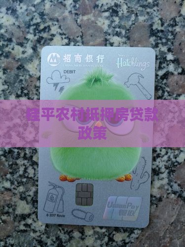 桂平农村抵押房贷款政策