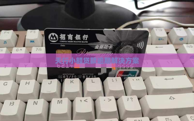 天行小额贷款逾期解决方案