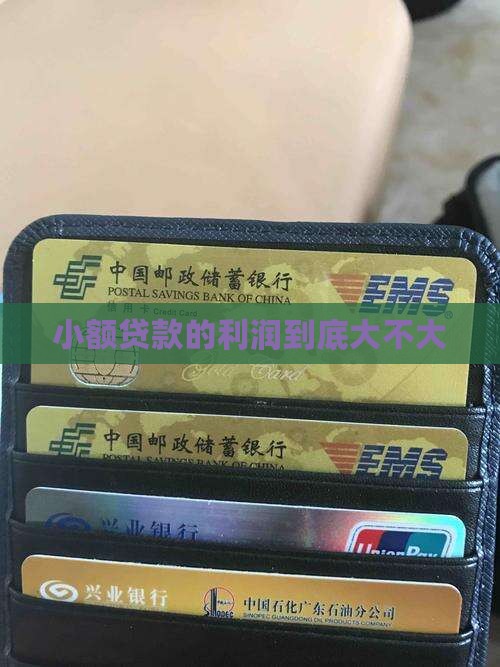 小额贷款的利润到底大不大