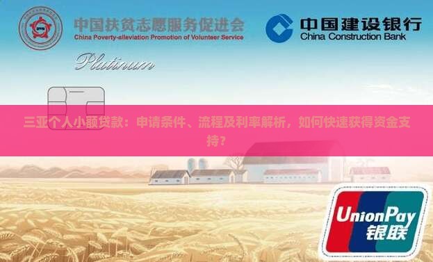 三亚个人小额贷款：申请条件、流程及利率解析，如何快速获得资金支持？