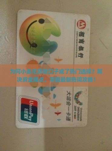 为何小麦花贷款口子成了热门选择？解决资金痛点，掌握最新热词攻略！