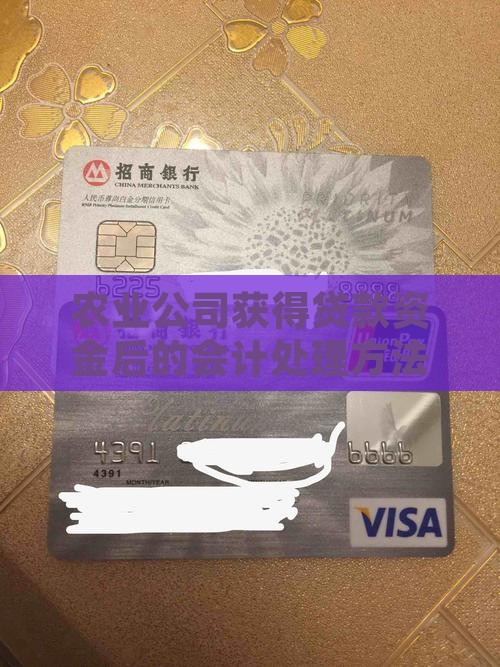 农业公司获得贷款资金后的会计处理方法