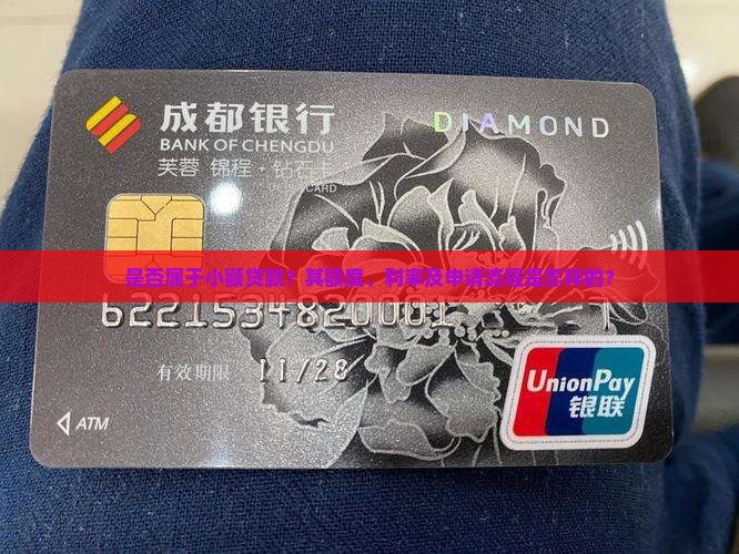 是否属于小额贷款？其额度、利率及申请流程是怎样的？