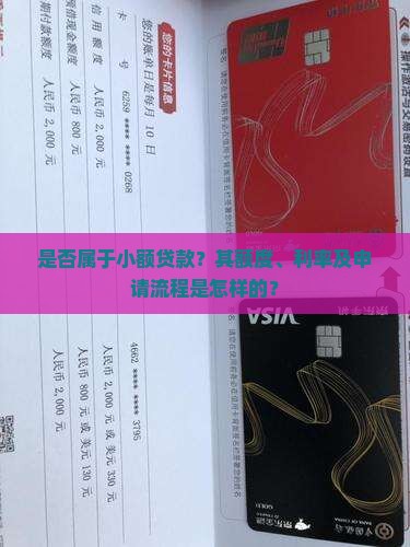 是否属于小额贷款？其额度、利率及申请流程是怎样的？