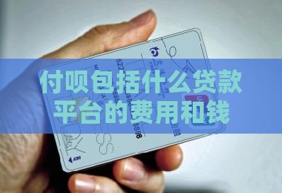 付呗包括什么贷款平台的