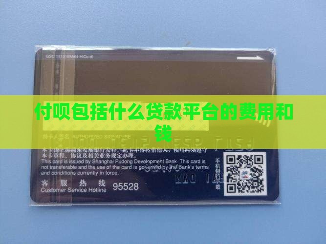 付呗包括什么贷款平台的