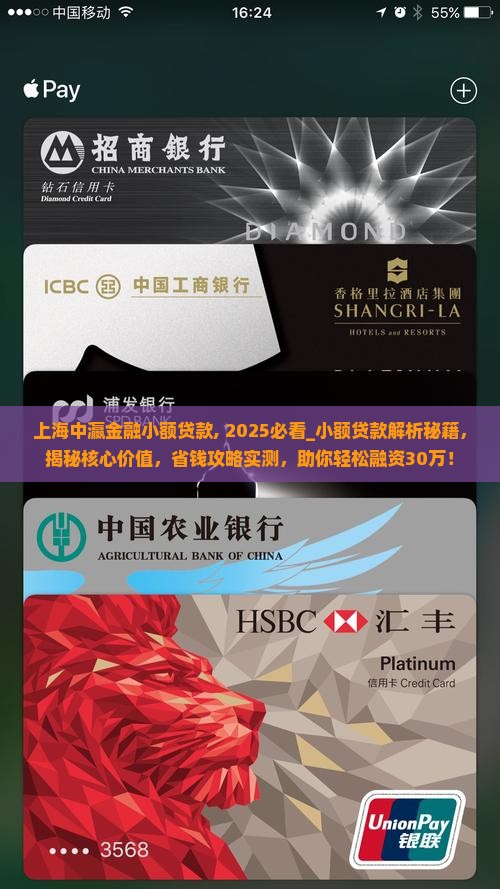 上海中瀛金融小额贷款