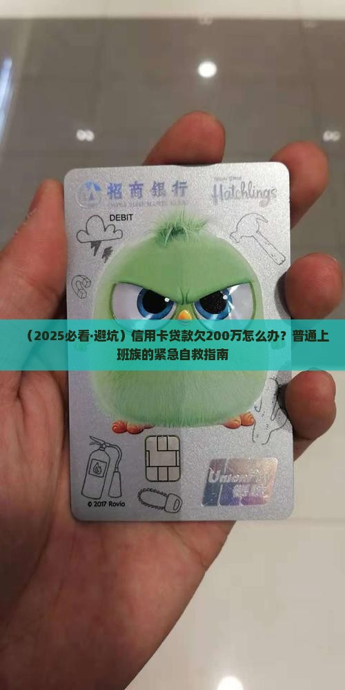 信用卡贷款欠200万