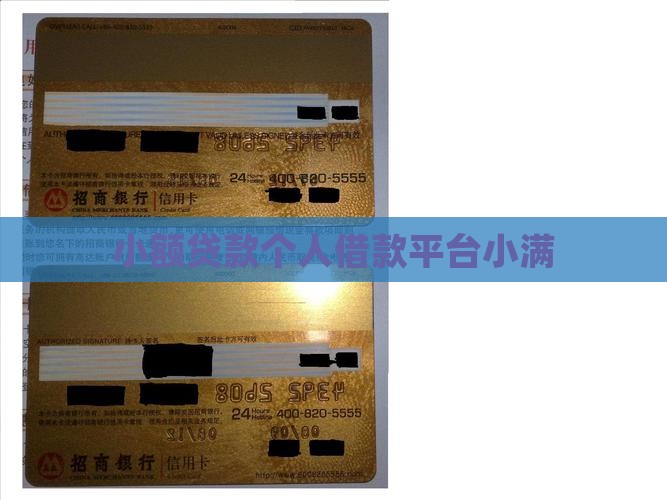 个人贷小额贷款