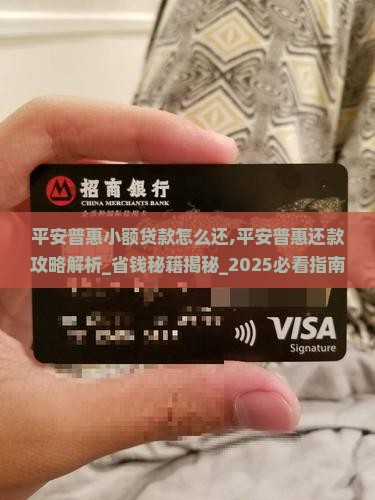 平安普惠小额贷款怎么还