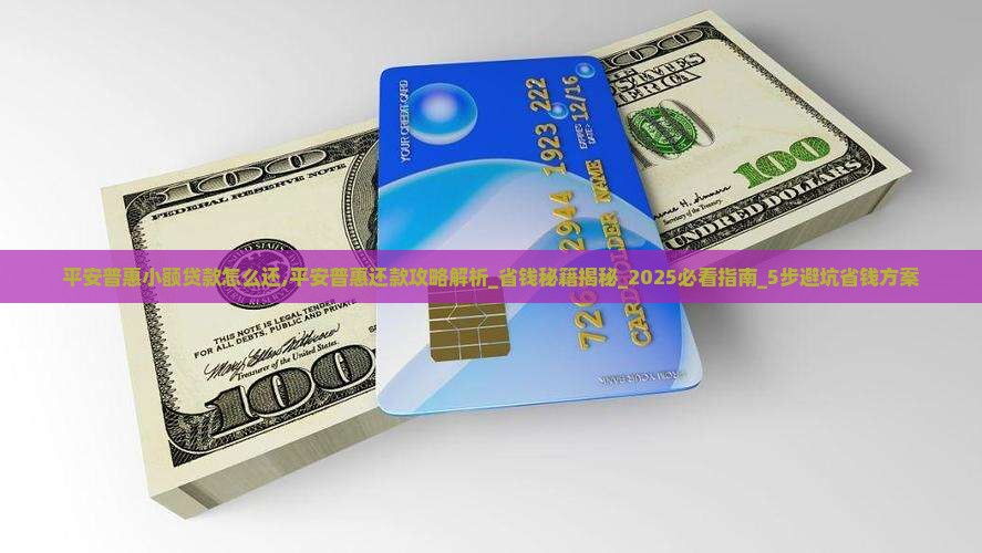 平安普惠小额贷款怎么还
